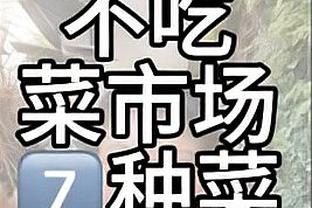 曼城vs埃弗顿首发：哈兰德、阿尔瓦雷斯先发，福登、多库出战